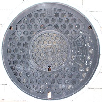 ��s�ЊQ�p�}���z�[��