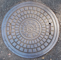 ���{������