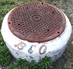 �L���s�}���z�[��