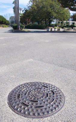 �L���s�}���z�[��