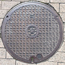 �ޗǌ������a