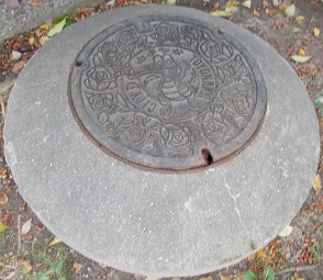 �L���s�}���z�[��