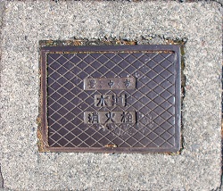 �L���s���ΐ�