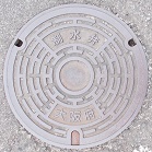 ���{������