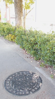 松山市マンホール