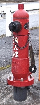 ���������̏��ΐ�