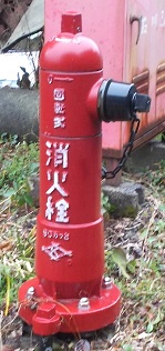 ���������̏��ΐ�