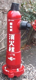 ���������̏��ΐ�