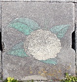 �k�������a�W