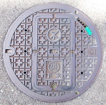 ���s�ЊQ�}���z�[��