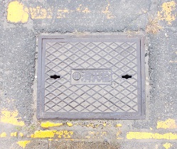 ���D�����ΐ�