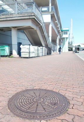 ���{�}���z�[��