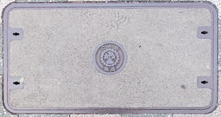 ���{�����a