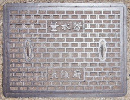 ���{�ʐ���