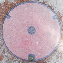 ���c�s�}���z�[��