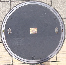 ���ݏȋ����a