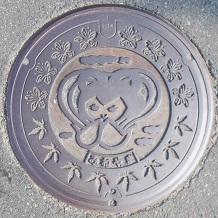 ��R���}���z�[��