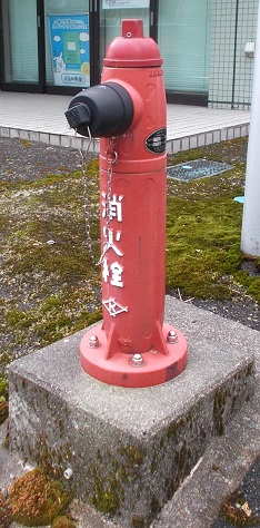 �{�Îs���̏��ΐ�