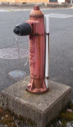 �{�Îs���̏��ΐ�