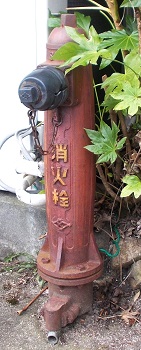 �{�Îs���̏��ΐ�