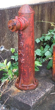 �{�Îs���̏��ΐ�