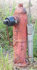 ��c�쒬���̏��ΐ�