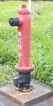 ��c�쒬���̏��ΐ�