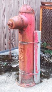 ��c�쒬���̏��ΐ�