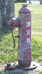 ���C�����̏��ΐ�