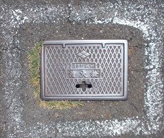 ���m�R�s�h�ΐ���