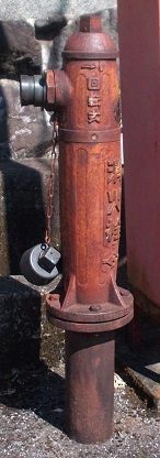 �{�������̏��ΐ�