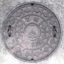 ���l�s�h�ΐ���