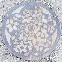 �R�s�}���z�[��