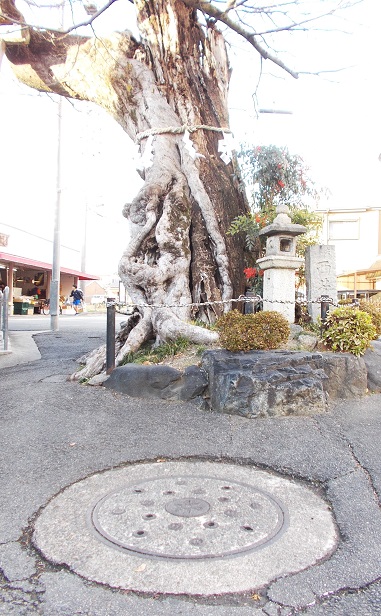 ���s�s�}���z�[��