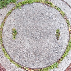 ���{�}���z�[��