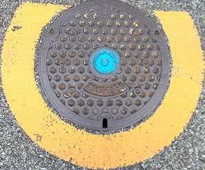 �L���s���ΐ�