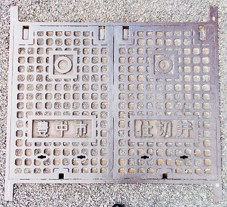 �L���s���ʌv