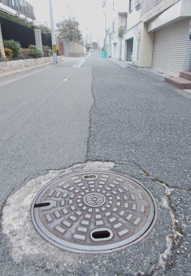 ���{�s�}���z�[��