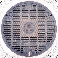 ���{�s�}���z�[��