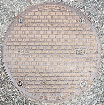 ���{�s�}���z�[��