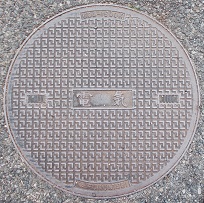 ���{�s�}���z�[��