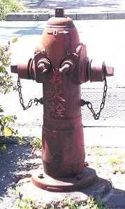 ���{�s���̏��ΐ�