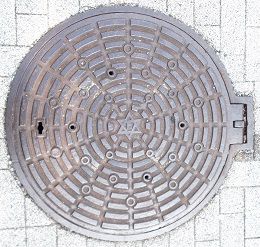 ���{�s�}���z�[��