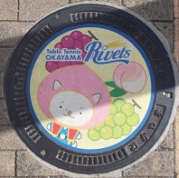 岡山市岡山シーガルズマンホール