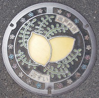 ���W�v���}���z�[��