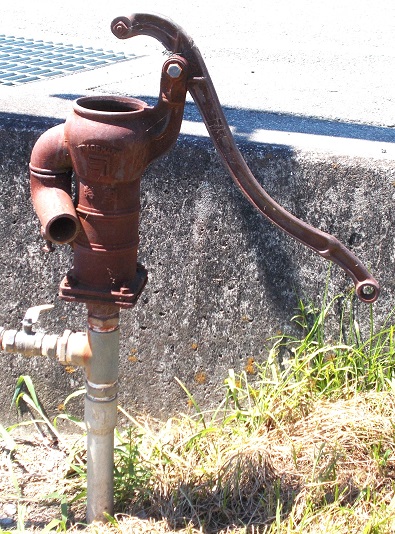 �����D���艟���|���v