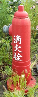 ���Ȓ����ΐ�