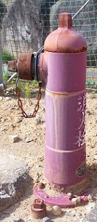 �����򒬗��̏��ΐ�