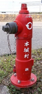 �{�鑺���̏��ΐ�