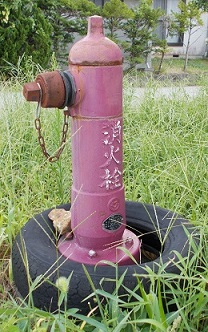 �{�鑺���̏��ΐ�